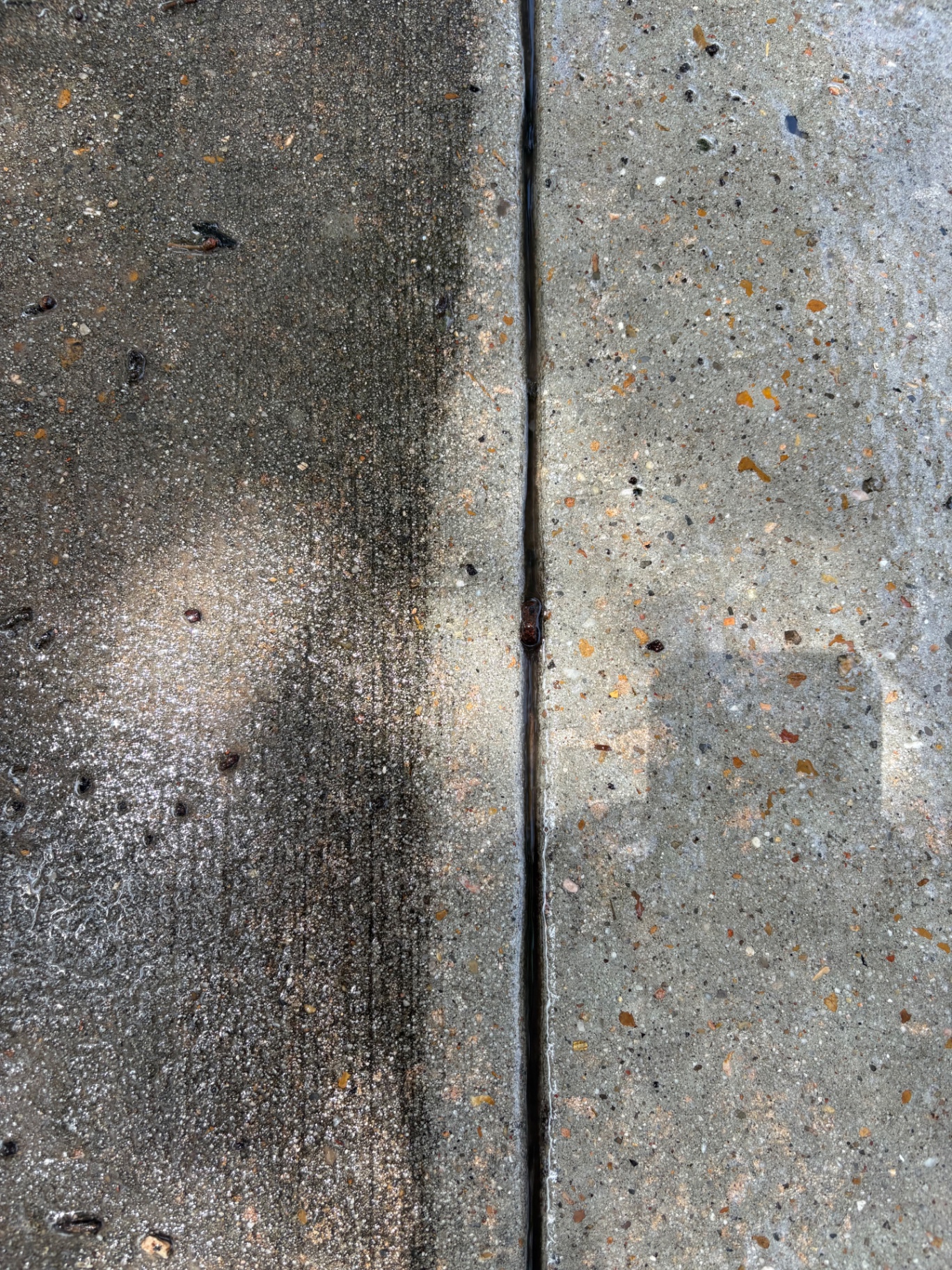 Half-cleaned concrete showing the difference